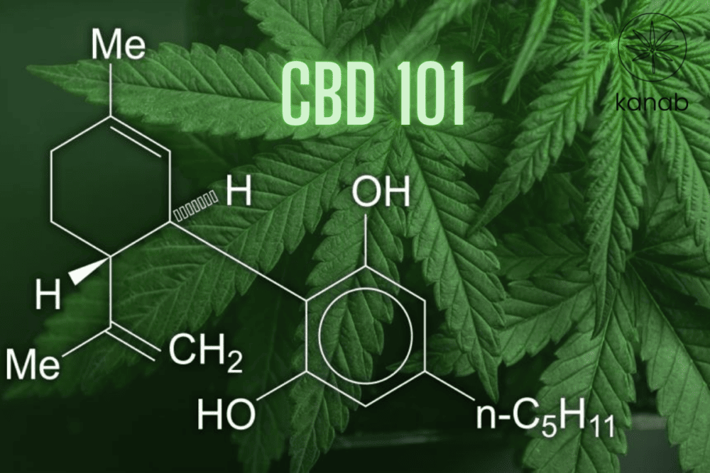 cannabis leaf with chemistry writing