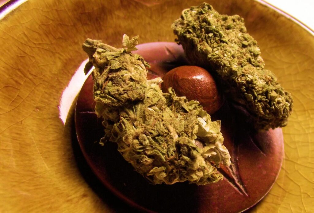 Hight thc indica strain canada cannabis